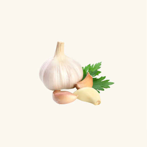 Egyptian Garlic