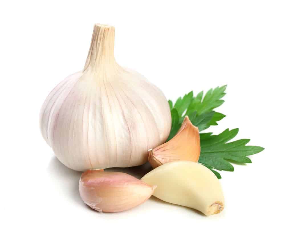 Egyption Garlic