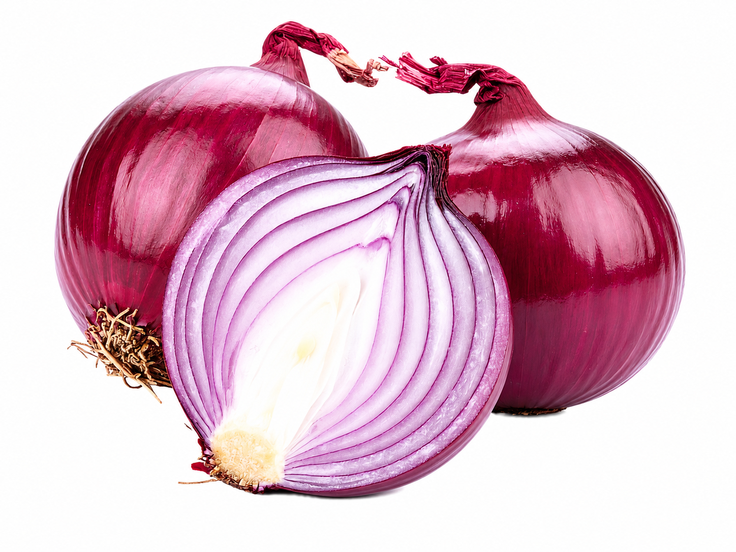 Fresh Egyptian onions sorted and graded for wholesale and export