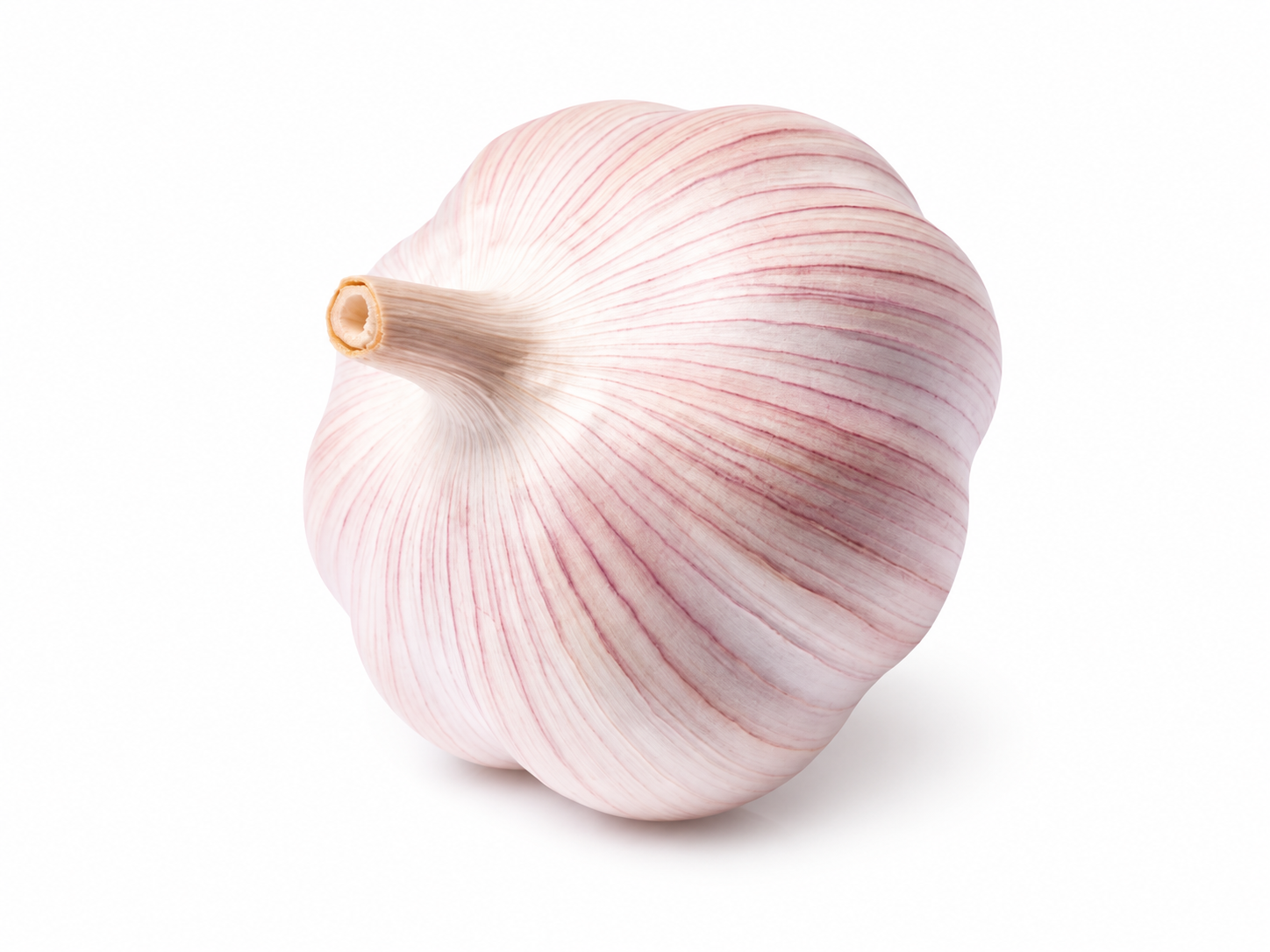 Egyptian garlic bulbs selected for export supply