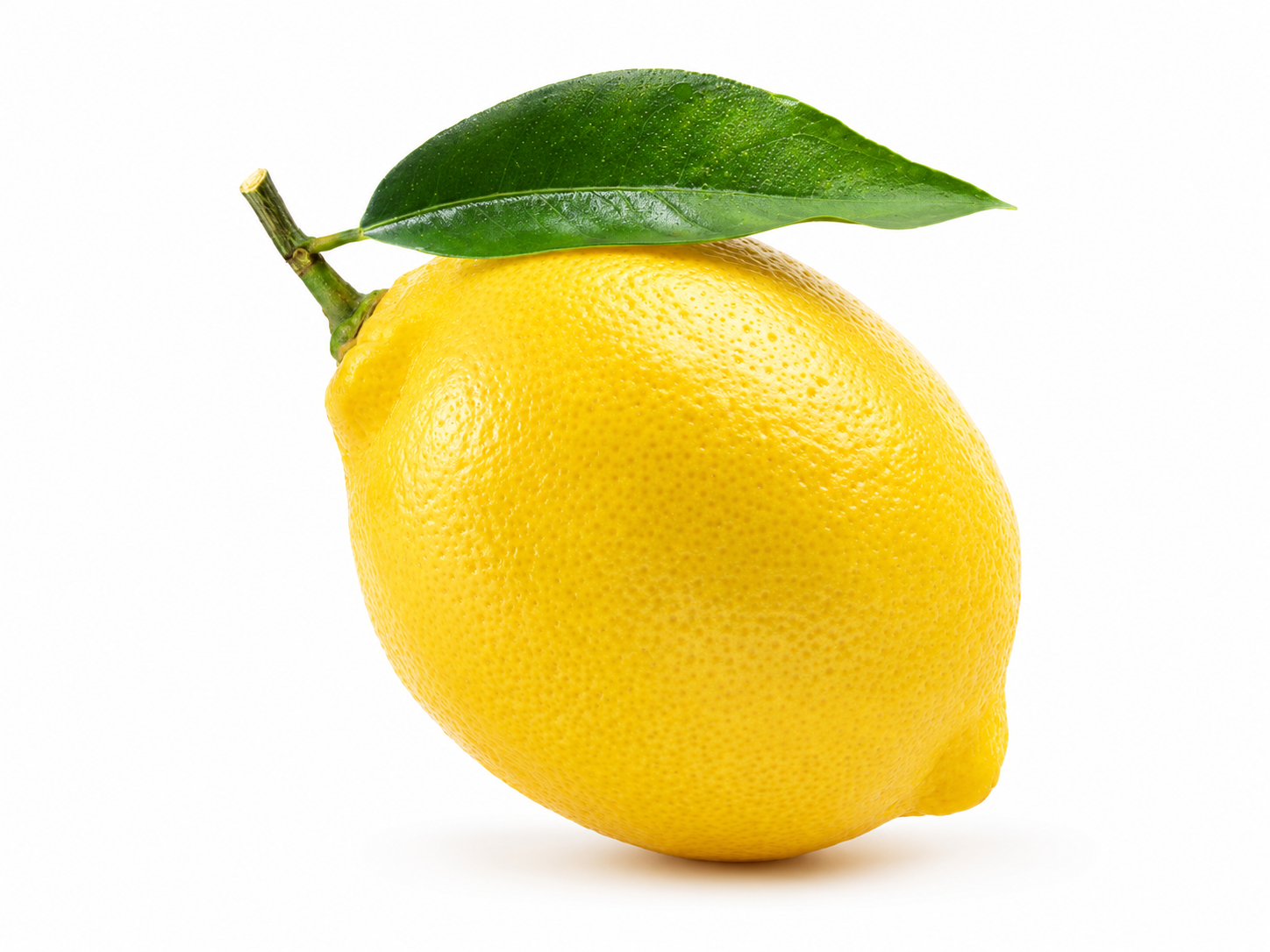 Fresh Egyptian lemons for wholesale citrus export